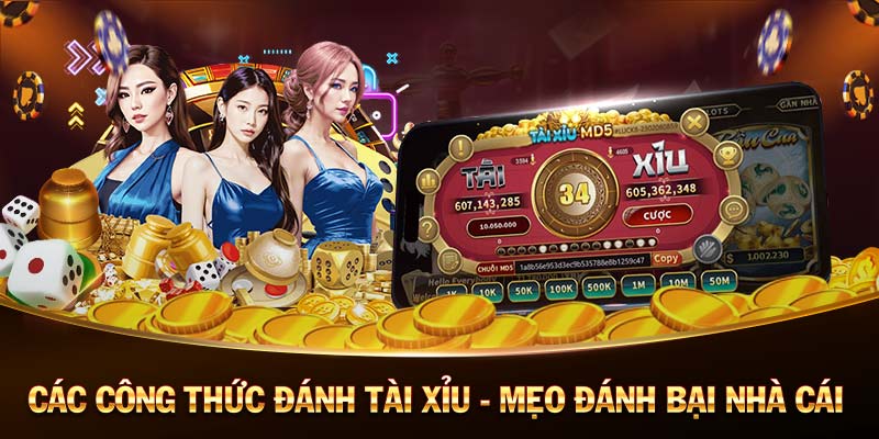 sodo casino 68 game bai 88 doi thuong